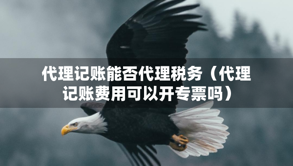 代理記賬能否代理稅務(wù)（代理記賬費(fèi)用可以開專票嗎）