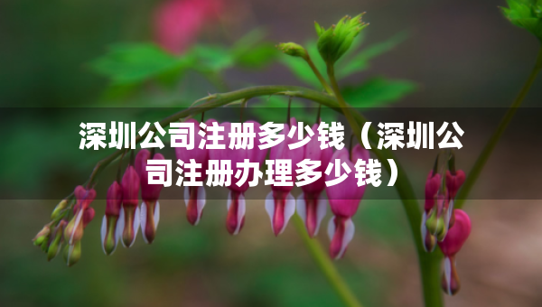 深圳公司注冊(cè)多少錢（深圳公司注冊(cè)辦理多少錢）