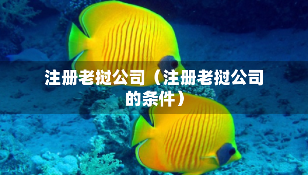 注冊老撾公司（注冊老撾公司的條件）