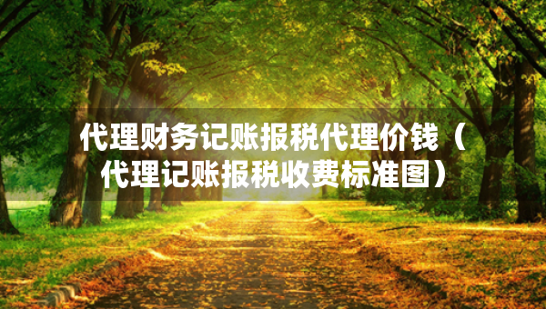 代理財務(wù)記賬報稅代理價錢（代理記賬報稅收費標(biāo)準(zhǔn)圖）