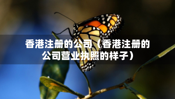 香港注冊(cè)的公司（香港注冊(cè)的公司營業(yè)執(zhí)照的樣子）