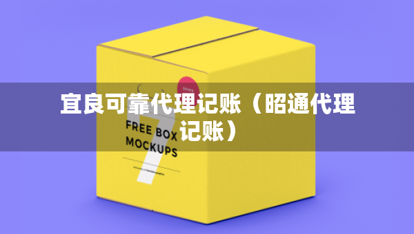 宜良可靠代理記賬（昭通代理記賬）