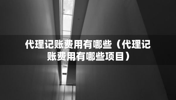 代理記賬費(fèi)用有哪些（代理記賬費(fèi)用有哪些項(xiàng)目）