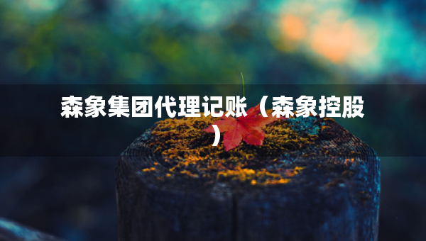 森象集團代理記賬（森象控股）
