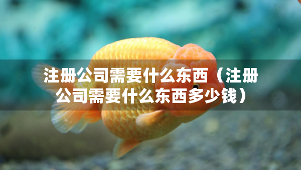 注冊(cè)公司需要什么東西（注冊(cè)公司需要什么東西多少錢(qián)）