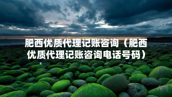肥西優(yōu)質(zhì)代理記賬咨詢(xún)（肥西優(yōu)質(zhì)代理記賬咨詢(xún)電話號(hào)碼）