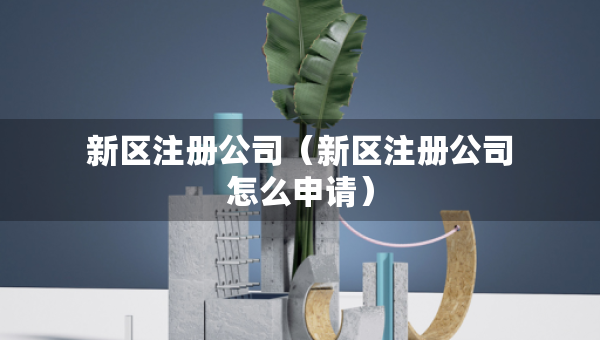 新區(qū)注冊(cè)公司（新區(qū)注冊(cè)公司怎么申請(qǐng)）