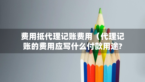 費(fèi)用抵代理記賬費(fèi)用（代理記賬的費(fèi)用應(yīng)寫什么付款用途?）