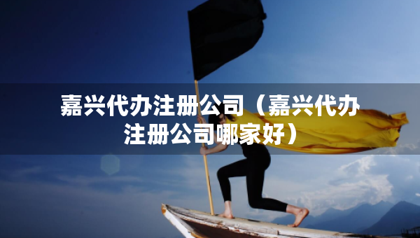 嘉興代辦注冊公司（嘉興代辦注冊公司哪家好）