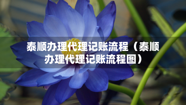 泰順辦理代理記賬流程（泰順辦理代理記賬流程圖）
