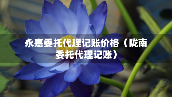 永嘉委托代理記賬價格（隴南委托代理記賬）