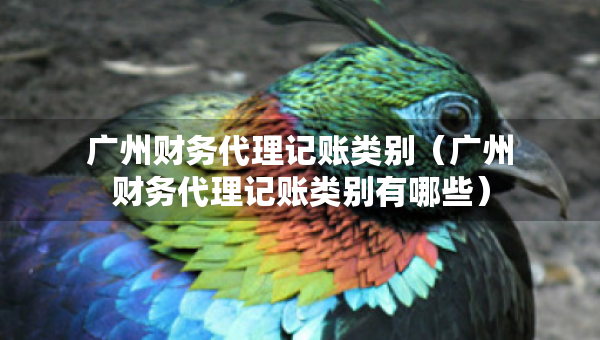 廣州財務(wù)代理記賬類別（廣州財務(wù)代理記賬類別有哪些）