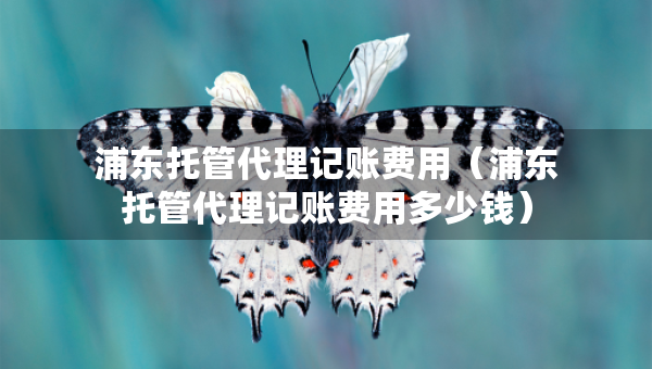 浦東托管代理記賬費(fèi)用（浦東托管代理記賬費(fèi)用多少錢）