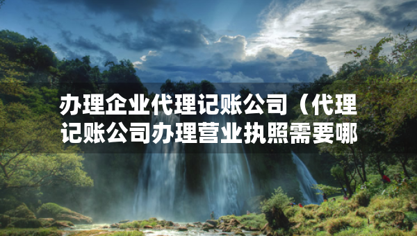 辦理企業(yè)代理記賬公司（代理記賬公司辦理營業(yè)執(zhí)照需要哪些資料）