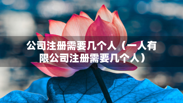 公司注冊需要幾個人（一人有限公司注冊需要幾個人）