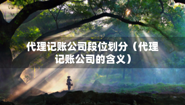 代理記賬公司段位劃分（代理記賬公司的含義）