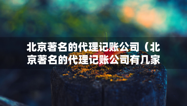 北京著名的代理記賬公司（北京著名的代理記賬公司有幾家）