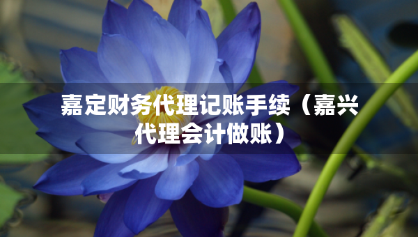 嘉定財務(wù)代理記賬手續(xù)（嘉興代理會計做賬）