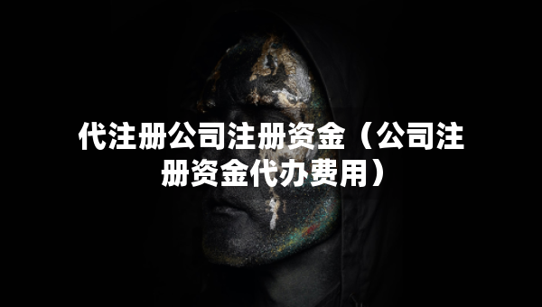代注冊(cè)公司注冊(cè)資金（公司注冊(cè)資金代辦費(fèi)用）