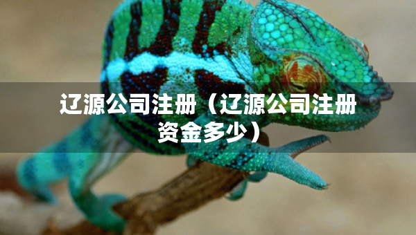 遼源公司注冊(cè)（遼源公司注冊(cè)資金多少）