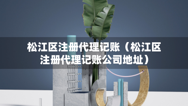 松江區(qū)注冊(cè)代理記賬（松江區(qū)注冊(cè)代理記賬公司地址）
