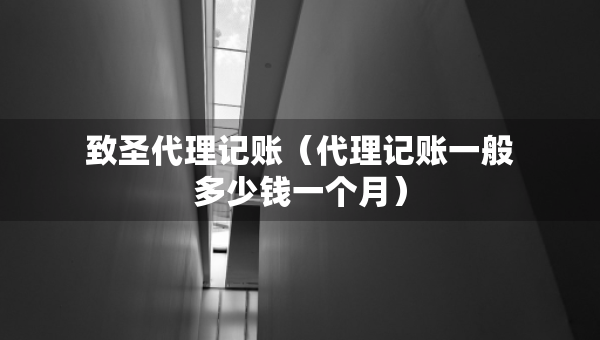 致圣代理記賬（代理記賬一般多少錢一個月）