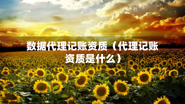 數(shù)據(jù)代理記賬資質(zhì)（代理記賬資質(zhì)是什么）