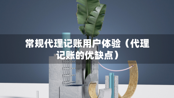 常規(guī)代理記賬用戶體驗(yàn)（代理記賬的優(yōu)缺點(diǎn)）