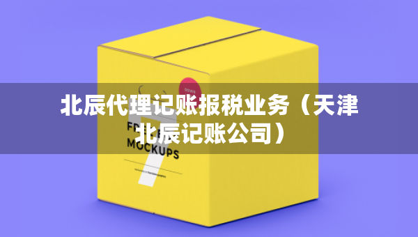 北辰代理記賬報稅業(yè)務（天津北辰記賬公司）