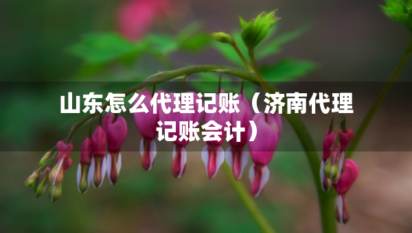 山東怎么代理記賬（濟南代理記賬會計）