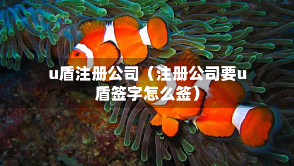 u盾注冊公司（注冊公司要u盾簽字怎么簽）