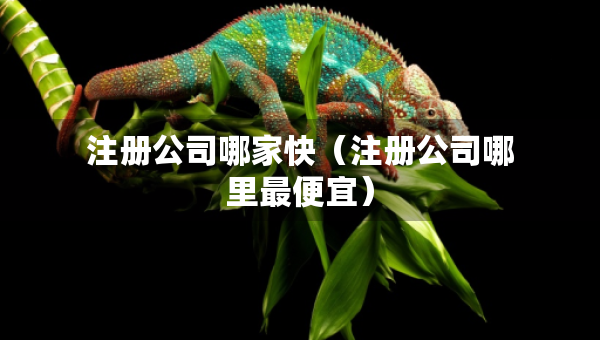 注冊(cè)公司哪家快（注冊(cè)公司哪里最便宜）