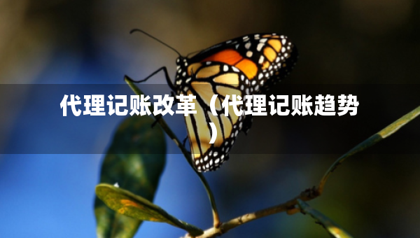 代理記賬改革（代理記賬趨勢）