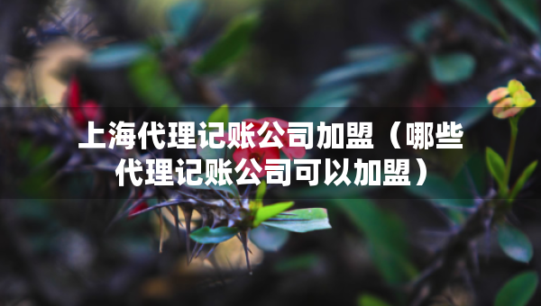 上海代理記賬公司加盟（哪些代理記賬公司可以加盟）