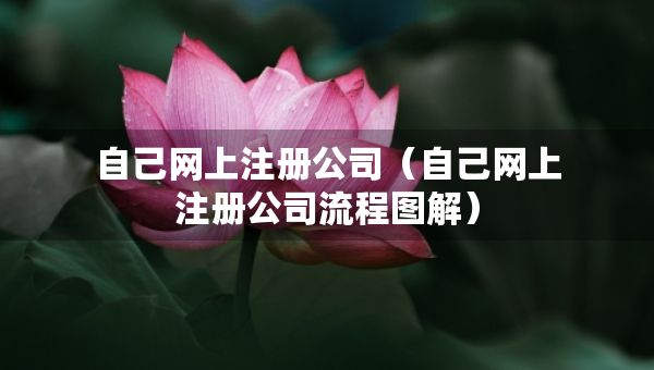 自己網(wǎng)上注冊公司（自己網(wǎng)上注冊公司流程圖解）