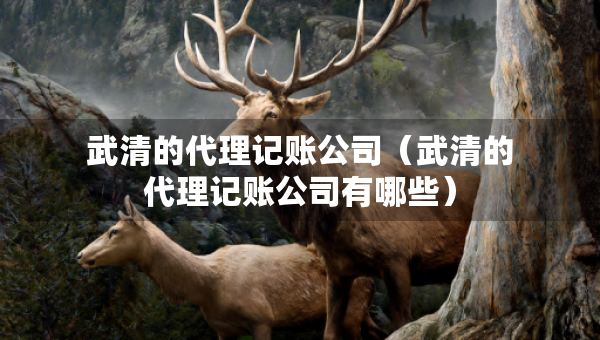 武清的代理記賬公司（武清的代理記賬公司有哪些）