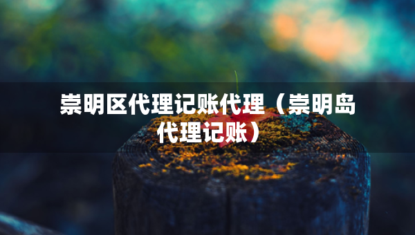 崇明區(qū)代理記賬代理（崇明島代理記賬）