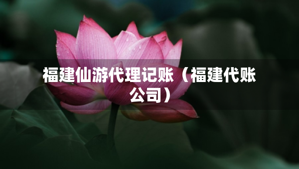 福建仙游代理記賬（福建代賬公司）