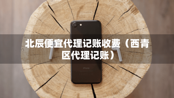 北辰便宜代理記賬收費(fèi)（西青區(qū)代理記賬）