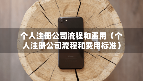 個(gè)人注冊公司流程和費(fèi)用（個(gè)人注冊公司流程和費(fèi)用標(biāo)準(zhǔn)）