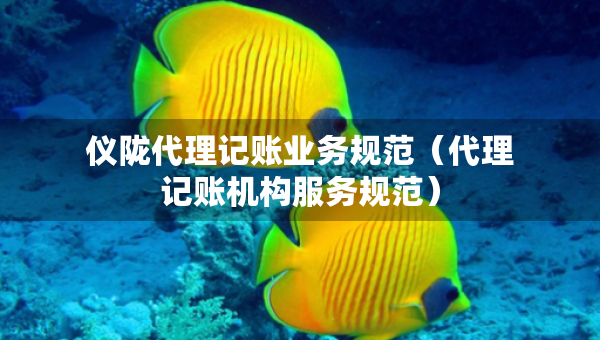 儀隴代理記賬業(yè)務(wù)規(guī)范（代理記賬機(jī)構(gòu)服務(wù)規(guī)范）