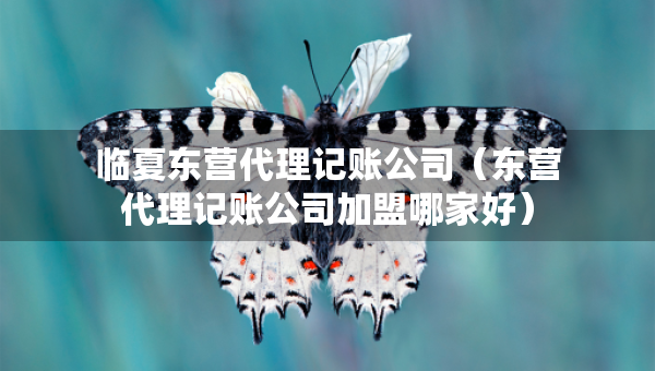 臨夏東營代理記賬公司（東營代理記賬公司加盟哪家好）
