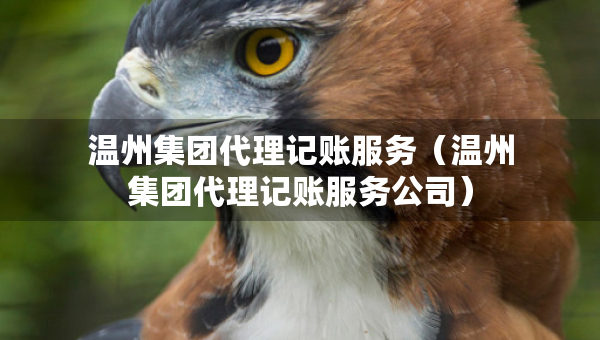 溫州集團代理記賬服務(wù)（溫州集團代理記賬服務(wù)公司）