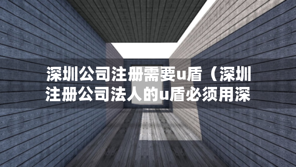 深圳公司注冊需要u盾（深圳注冊公司法人的u盾必須用深證的嗎）