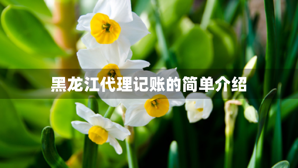 黑龍江代理記賬的簡(jiǎn)單介紹