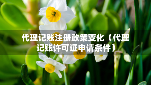 代理記賬注冊政策變化（代理記賬許可證申請條件）