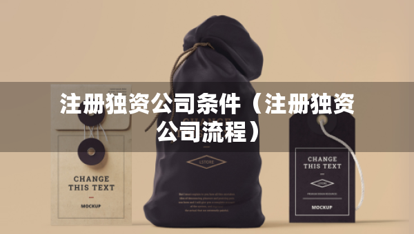 注冊獨(dú)資公司條件（注冊獨(dú)資公司流程）