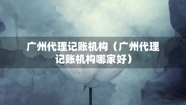 廣州代理記賬機(jī)構(gòu)（廣州代理記賬機(jī)構(gòu)哪家好）