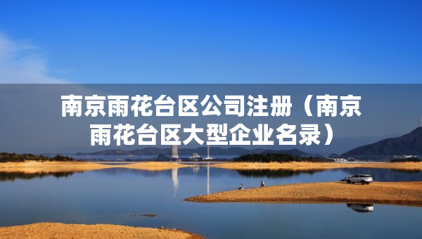 南京雨花臺(tái)區(qū)公司注冊(cè)（南京雨花臺(tái)區(qū)大型企業(yè)名錄）