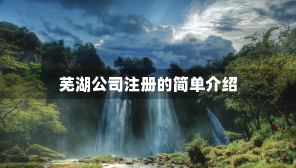 蕪湖公司注冊(cè)的簡(jiǎn)單介紹